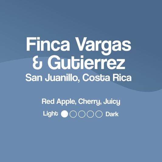 Costa Rica Finca Vargas & Gutierrez