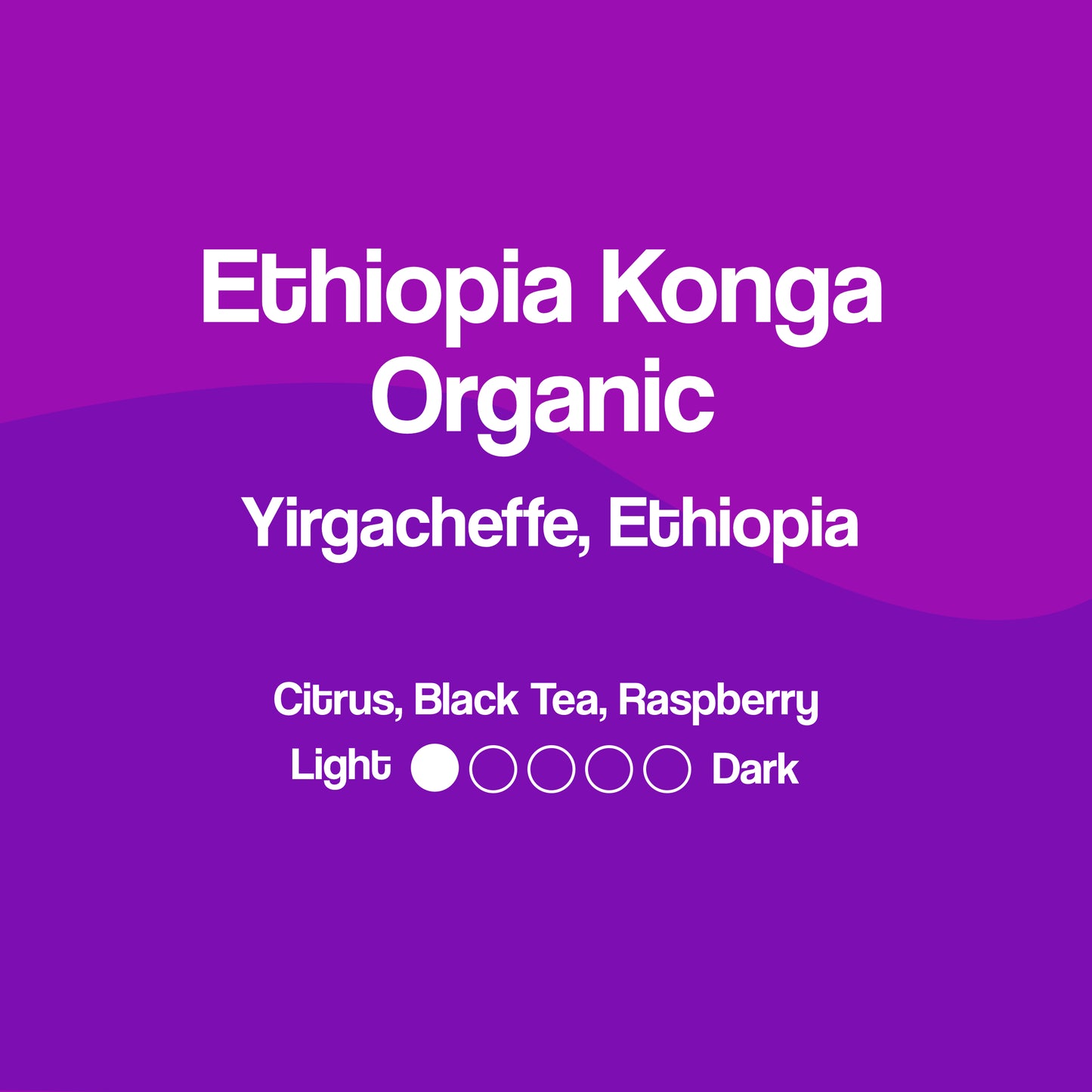 Ethiopia Konga Organic